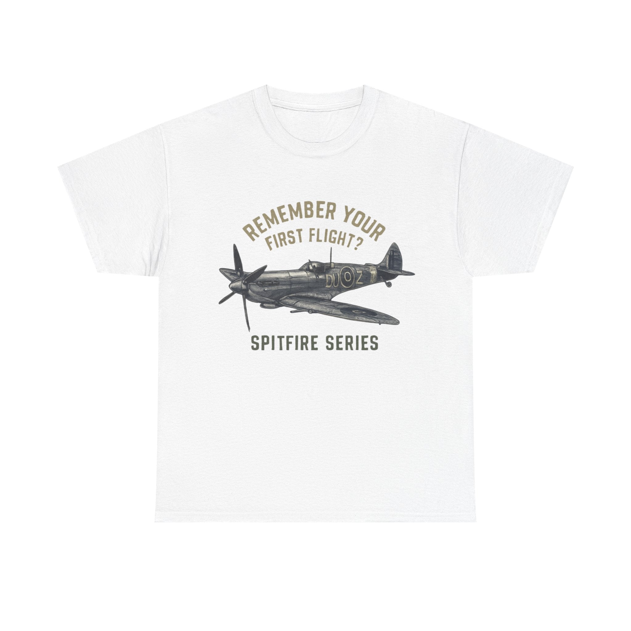 Close-up of the Spitfire graphic on the &