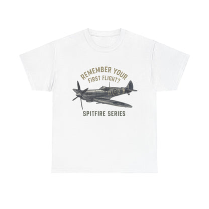 Close-up of the Spitfire graphic on the &