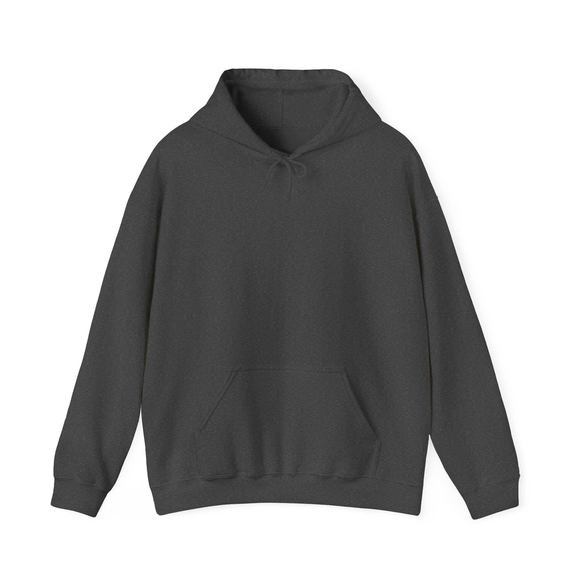 Different angles of the Retired Pilot Hooded Sweatshirt — &