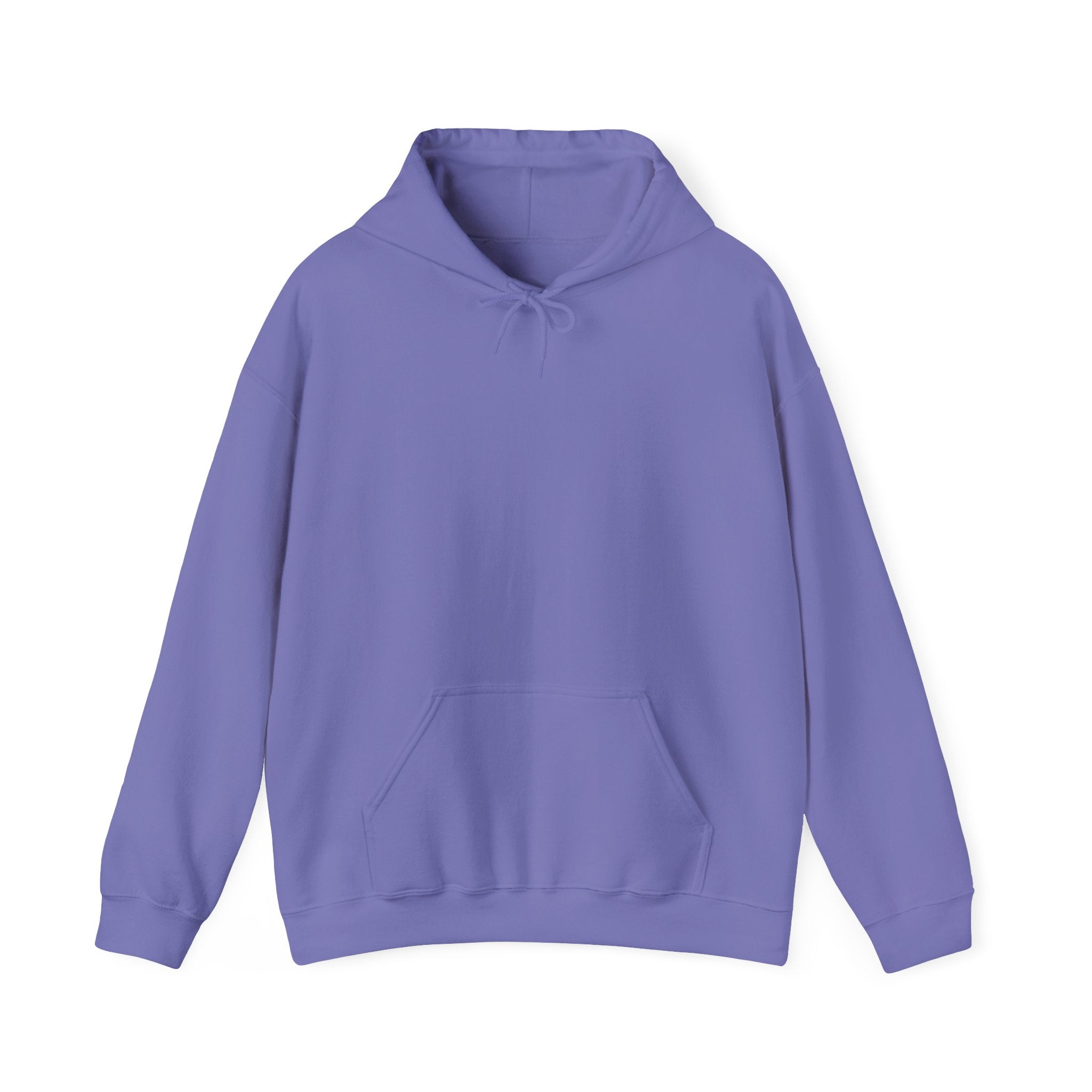 Fly Bold Hoodie represented as a casual gift for aviation lovers.