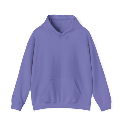 Fly Bold Hoodie represented as a casual gift for aviation lovers.