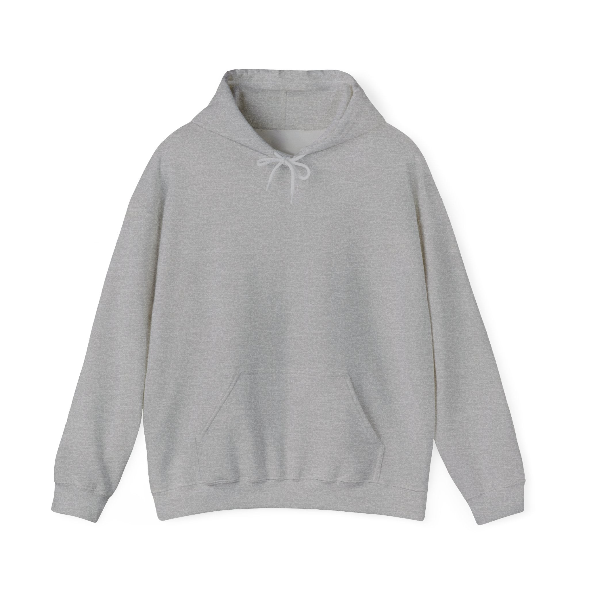 Wearing the Retired Pilot Hooded Sweatshirt — &